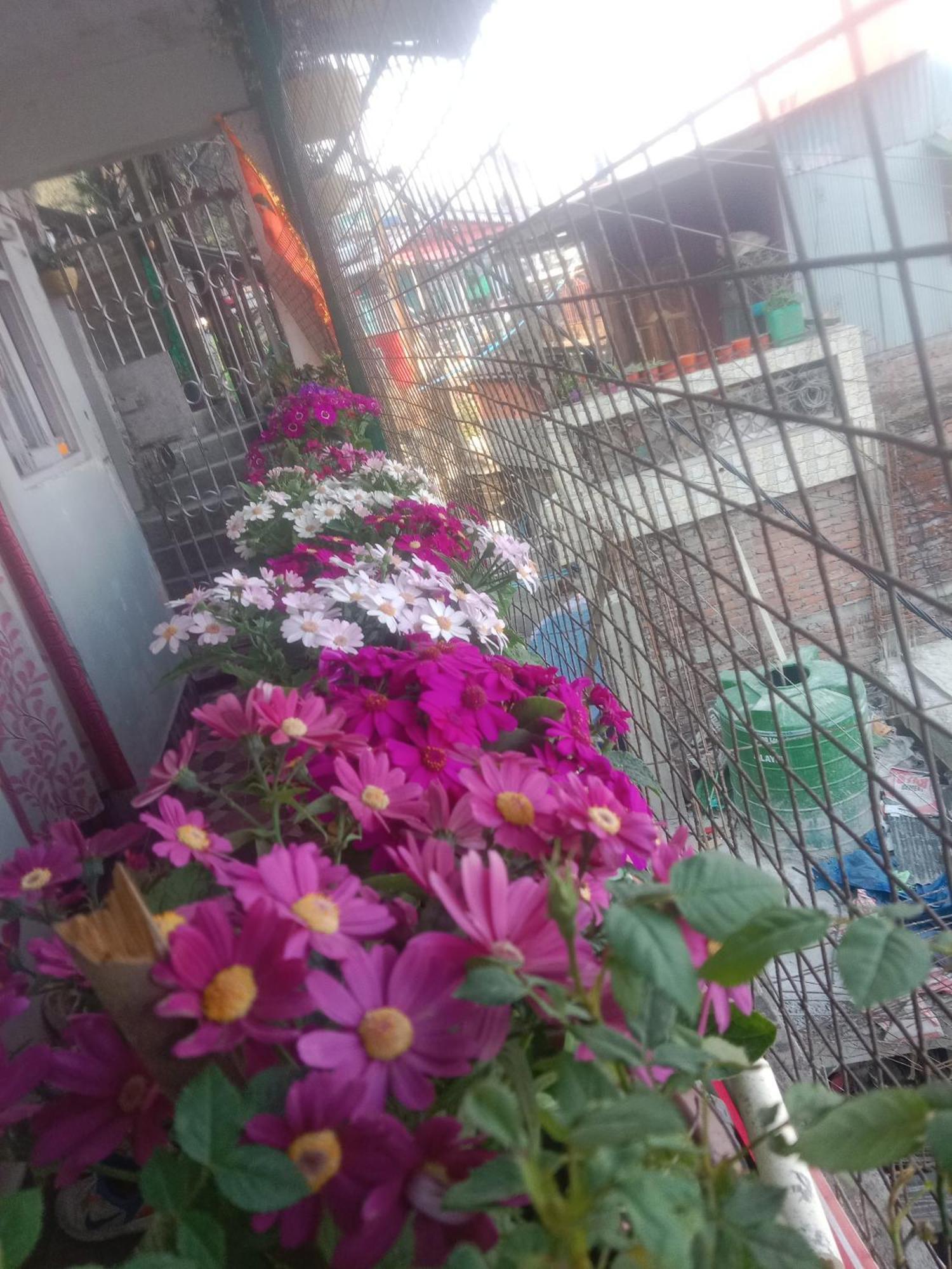 Beverly Hills Home Stay 다르질링 외부 사진
