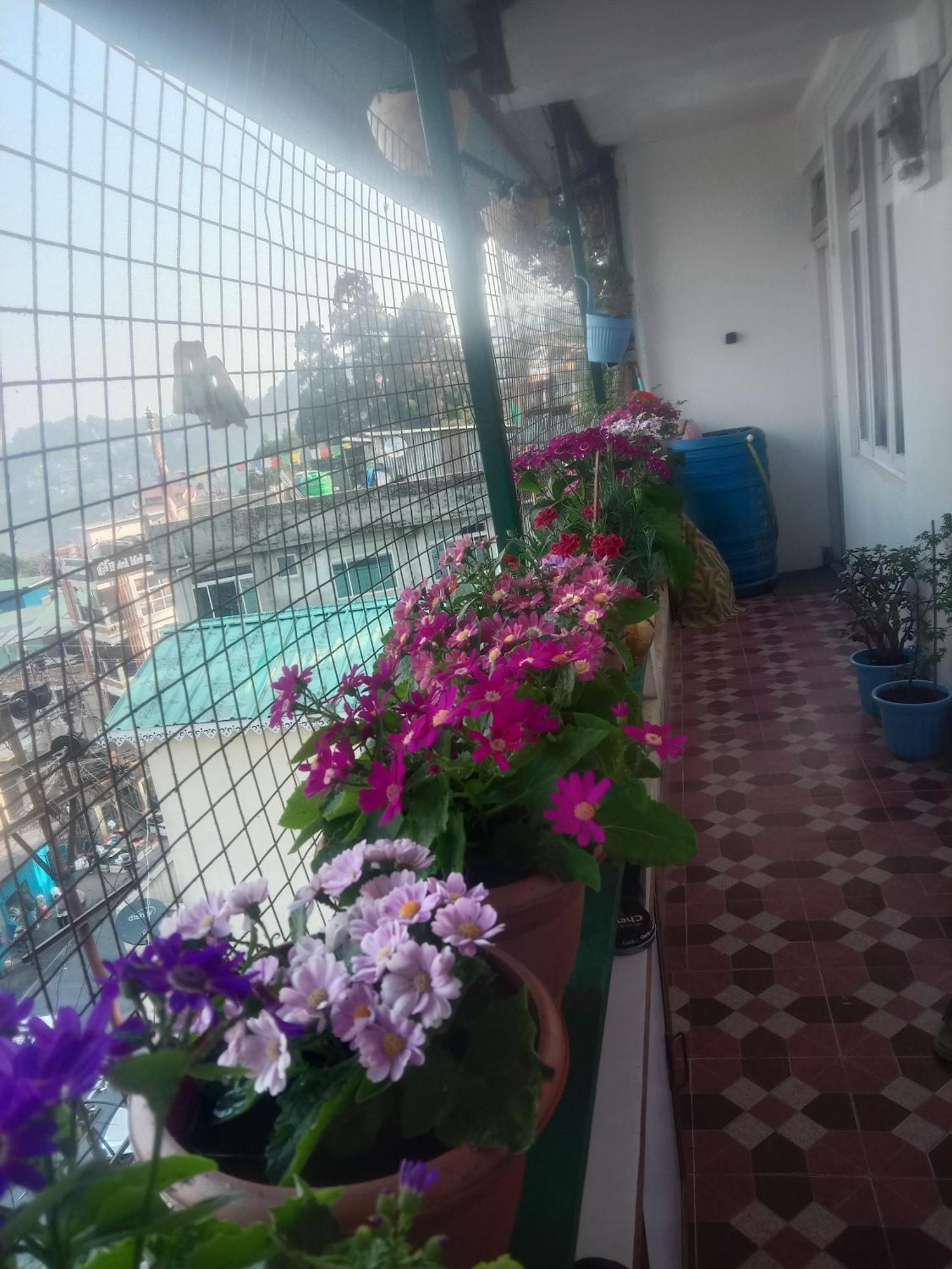 Beverly Hills Home Stay 다르질링 외부 사진